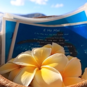 ハワイ文化体験