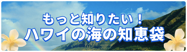 もっと知りたい！ハワイの海の知恵袋