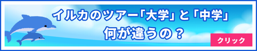 イルカのツアー「大学」と「中学」何が違うの？