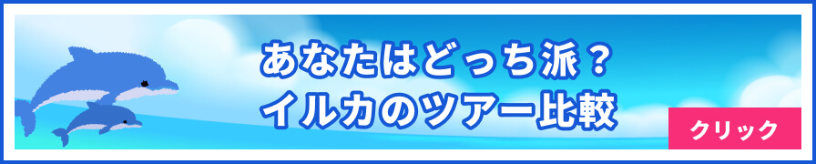 あなたはどっち派？イルカのツアー比較