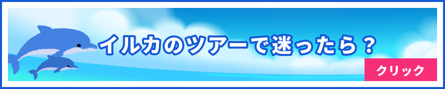 イルカのツアーで迷ったら？